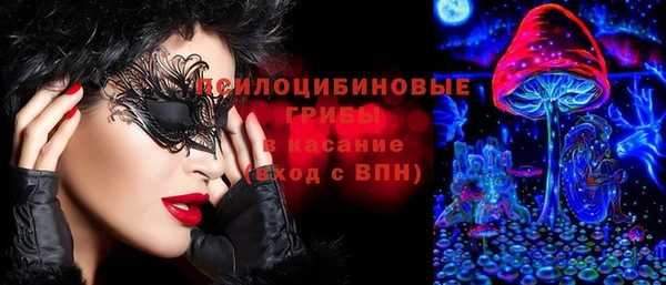 ГАЛЛЮЦИНОГЕННЫЕ ГРИБЫ Пролетарск