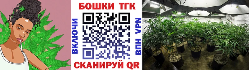 Купить закладки  Набережные Челны  МАРИХУАНА сатива 